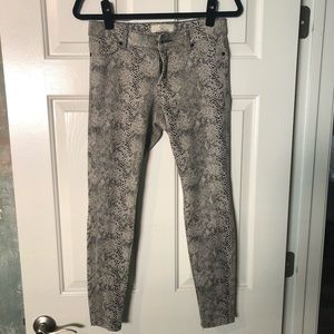 Snakeskin jeggings